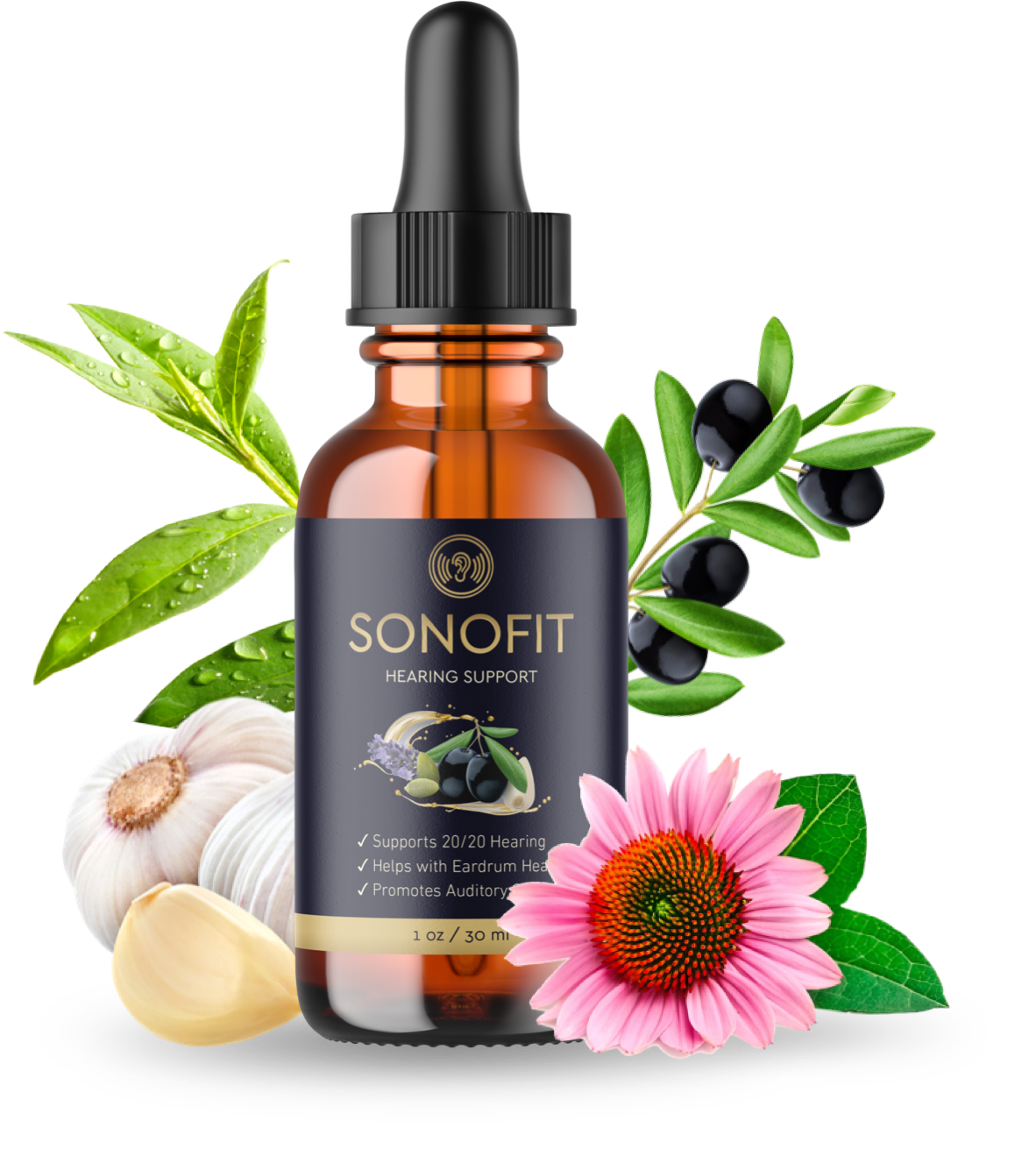 Sonofit Reviews